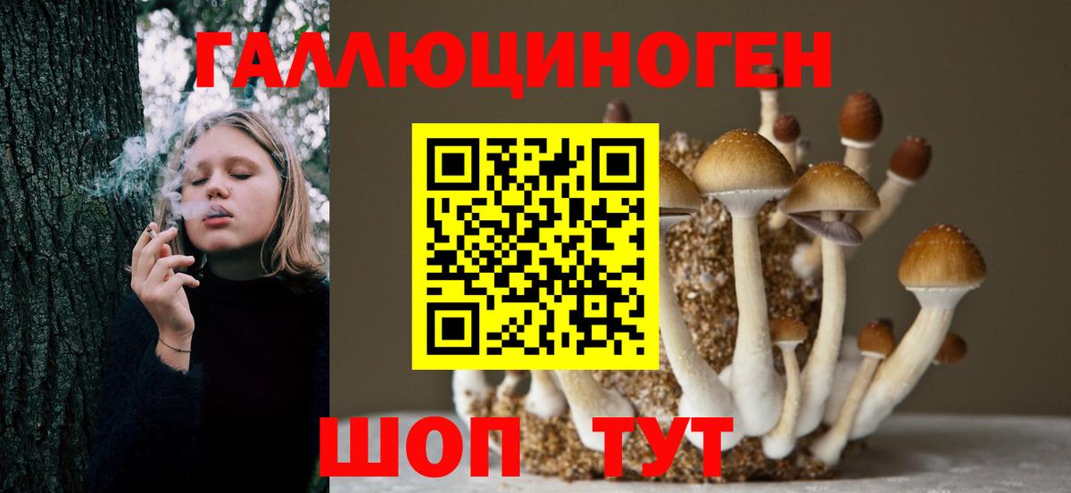Псилоцибиновые грибы мухоморы Белогорск